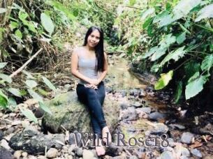 Wild_Rose18