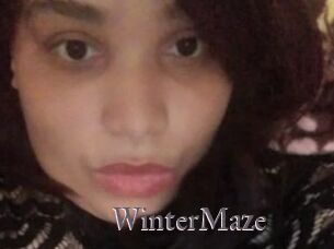 Winter_Maze