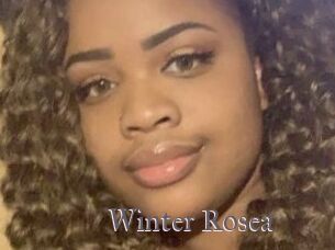 Winter_Rosea