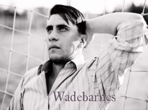 Wadebarnes