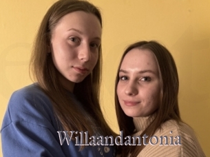 Willaandantonia