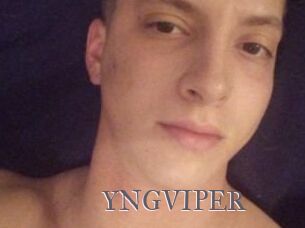 YNGVIPER