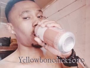 Yellowbonedick2010