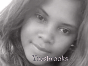 Ynesbrooks