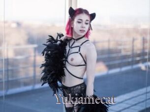 Yukiamecat