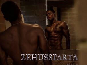 ZEHUS_SPARTA