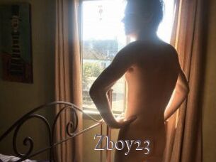 Zboy23