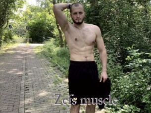 Zefs_muscle