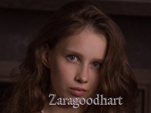 Zaragoodhart