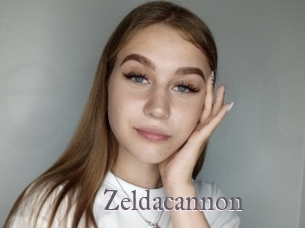 Zeldacannon